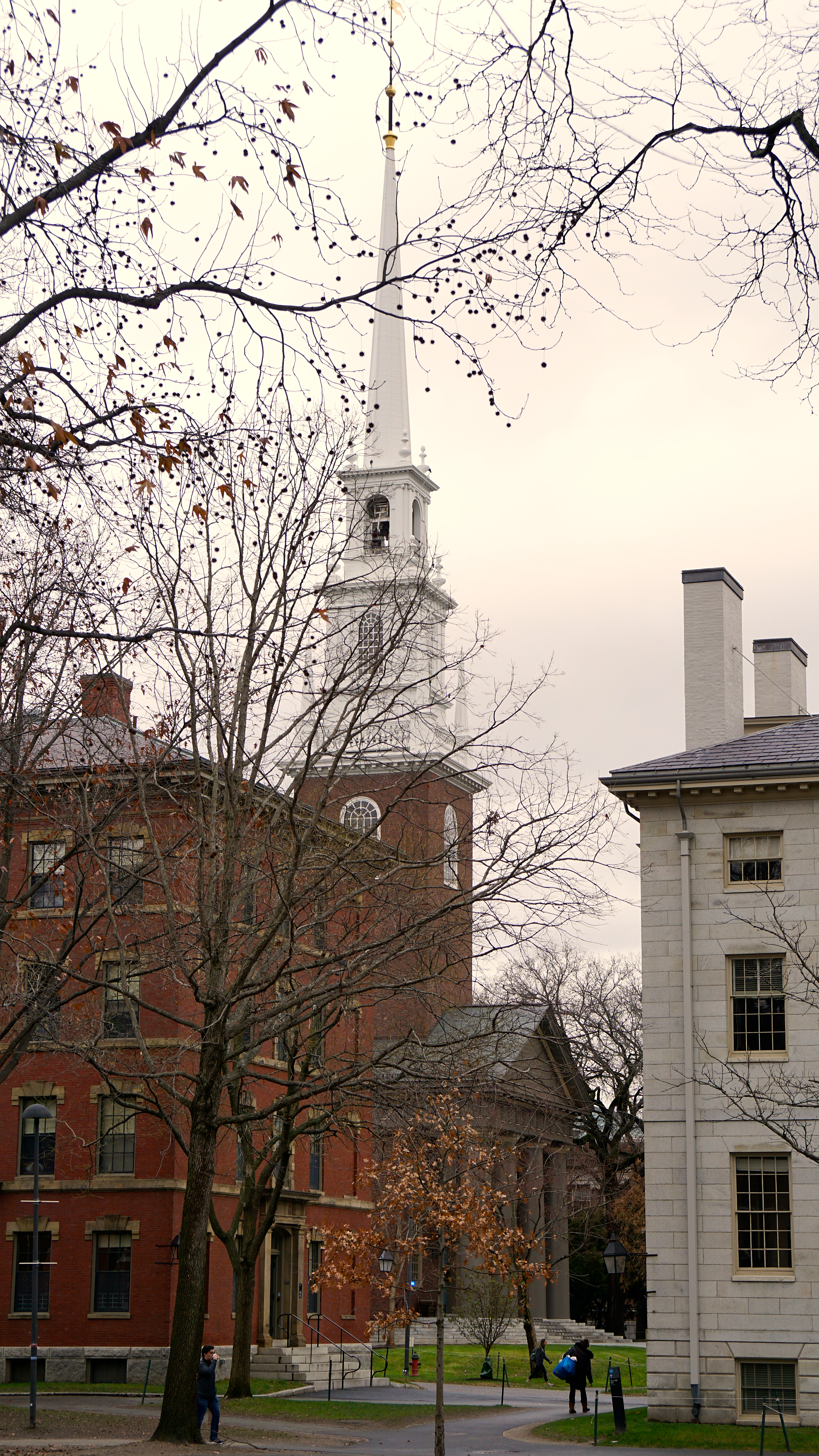 Harvard