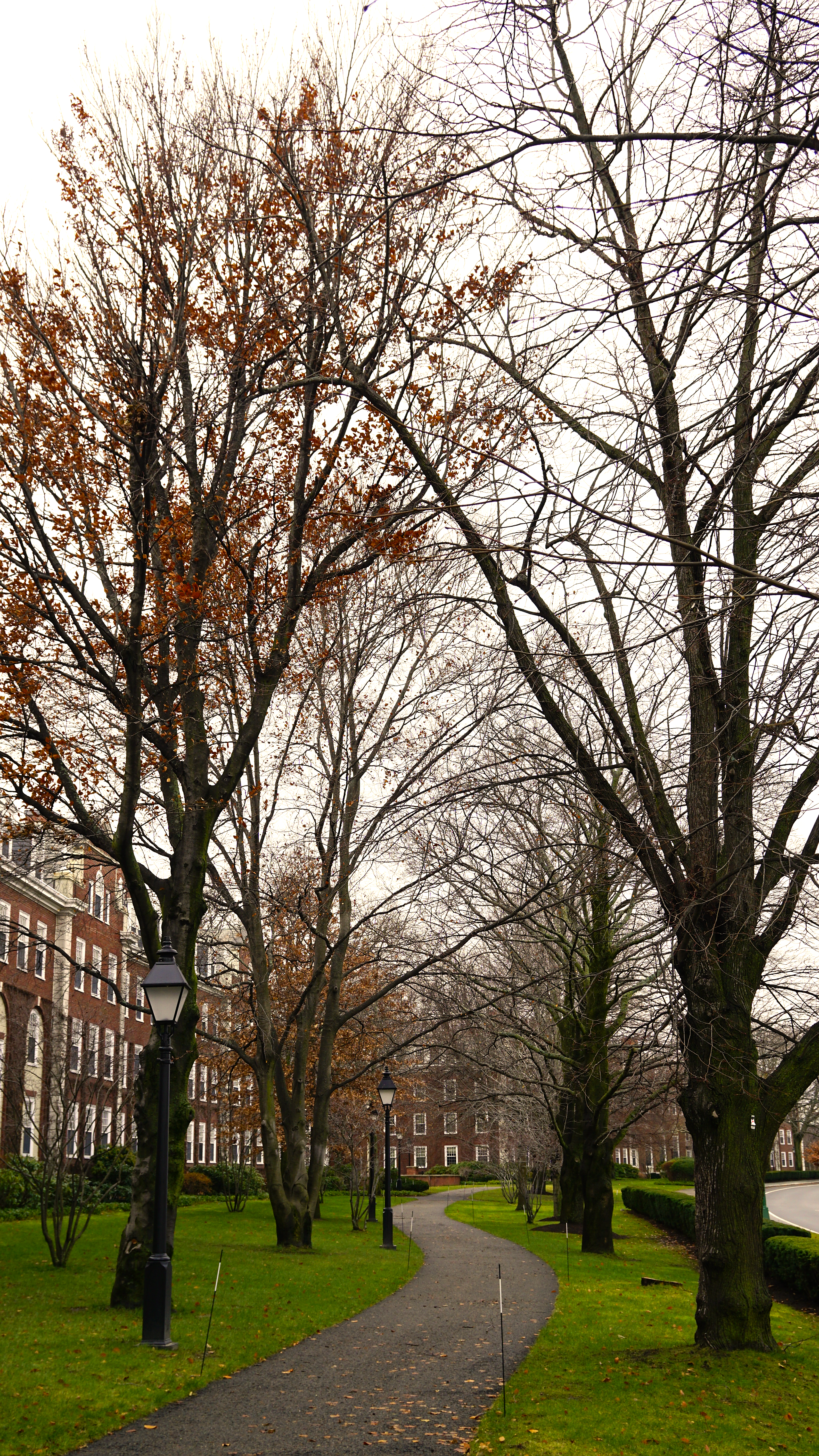 Boston